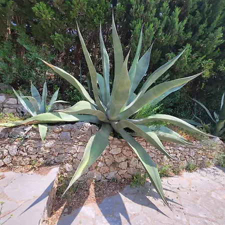 Vistaero Holiday home Les Issambres